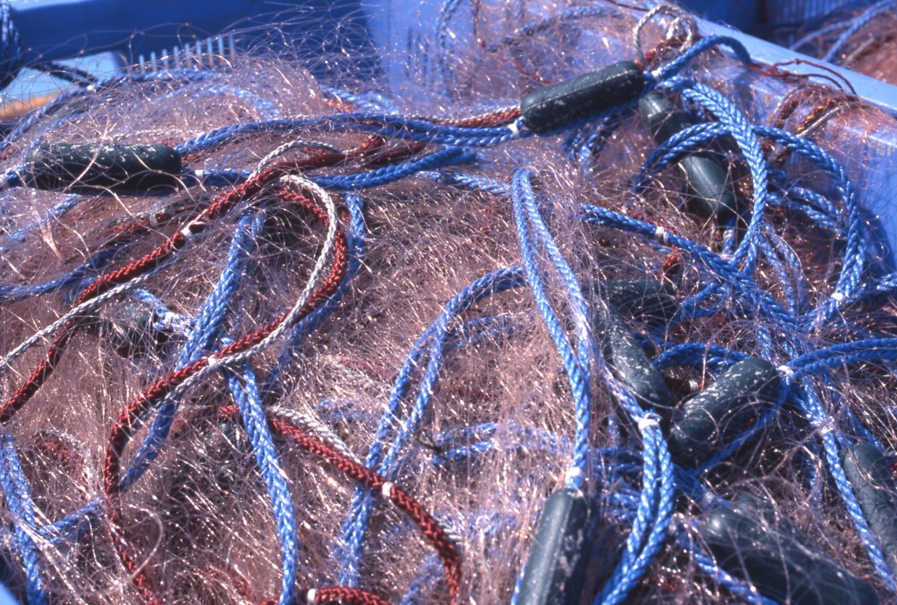 ゴーストネット、漁業と海洋プラゴミの不都合な真実 – オルタナS