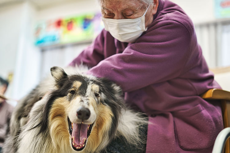 アニマルセラピーで届ける、犬と人の「共生」 – オルタナS